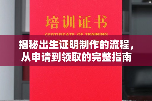西畴揭秘出生证明制作的流程，从申请到领取的完整指南